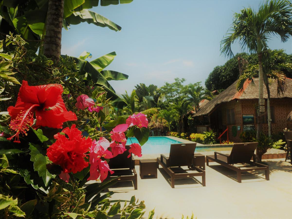 Island Tiki Paradise Resort Panglao Εξωτερικό φωτογραφία